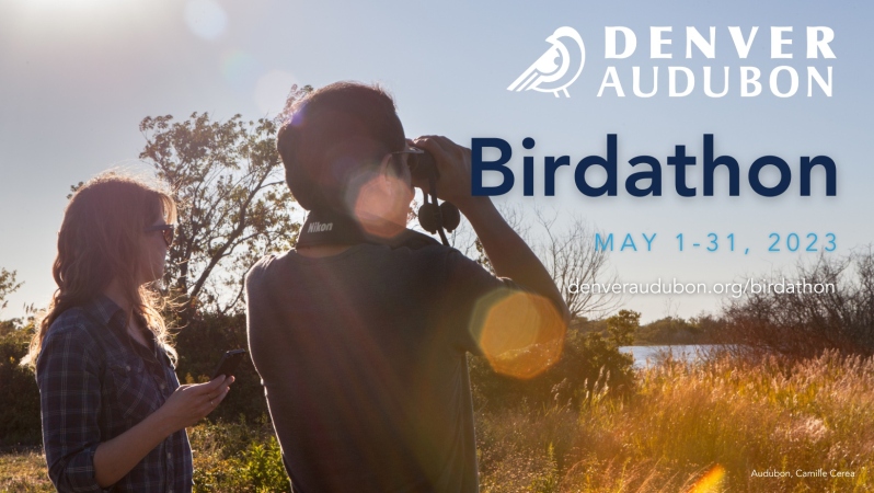 Fundraising Header image