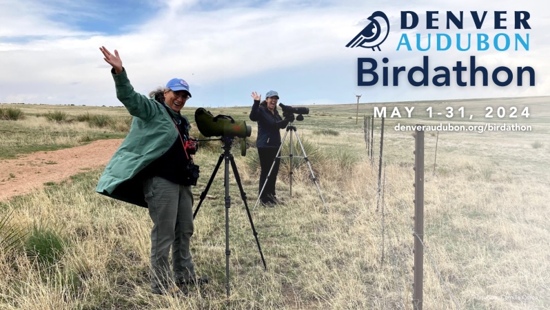 Fundraising Header image