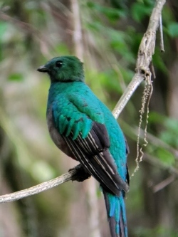 Fundraising Page Image