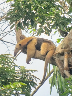 Fundraising Page Image