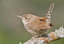 Fundraising Page Image