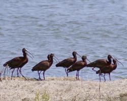 Fundraising Page Image