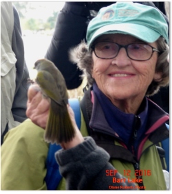 Fundraising Page Image