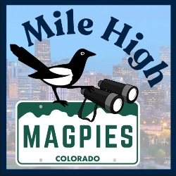 Fundraising Page Image